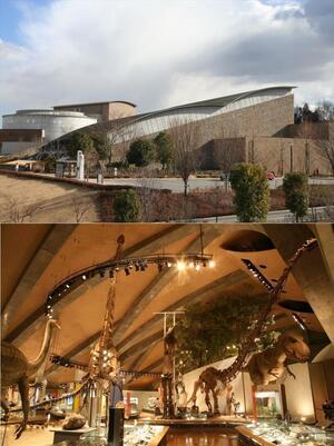 写真：群馬県立自然史博物館