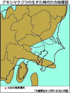 イラスト：古代日本地図