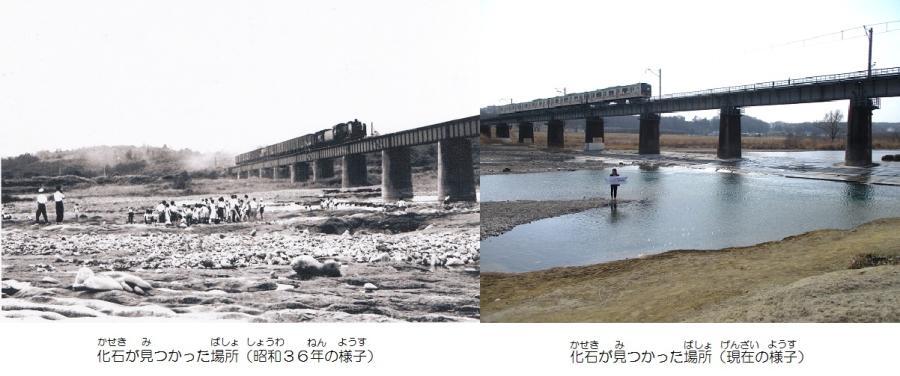 写真：化石が見つかった場所