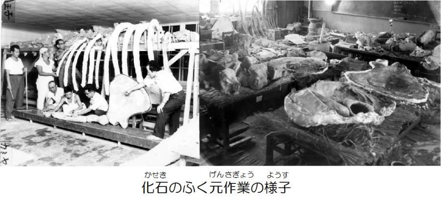 写真：復元作業のようす