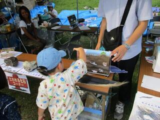 写真：くじら祭3