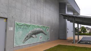 写真：モザイクアート