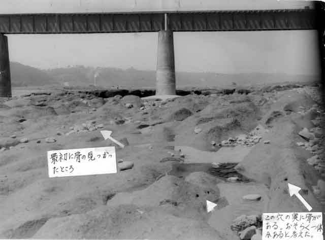 写真：1961年8月化石発見当時の河原