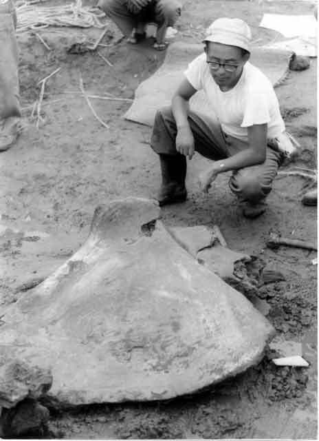 写真：発掘した肩甲骨