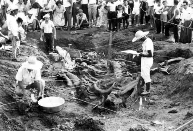 写真：水縄をもとに骨格の原位置図の記録をとる小町皓一先生(故人)と見学する人々