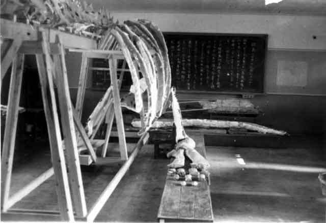 写真：記録をもとに復元作業を進める