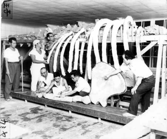 写真：最終段階に入った組み立て作業