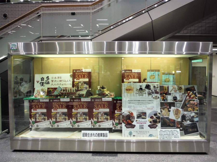 写真：ポントバレッタの展示1