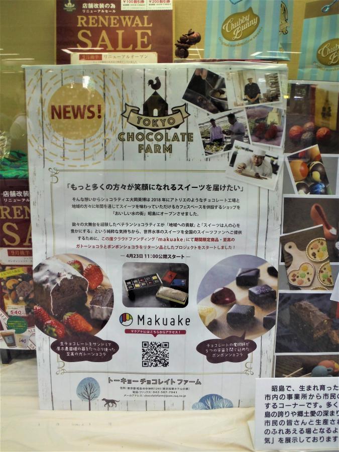 写真：ポントバレッタの展示3