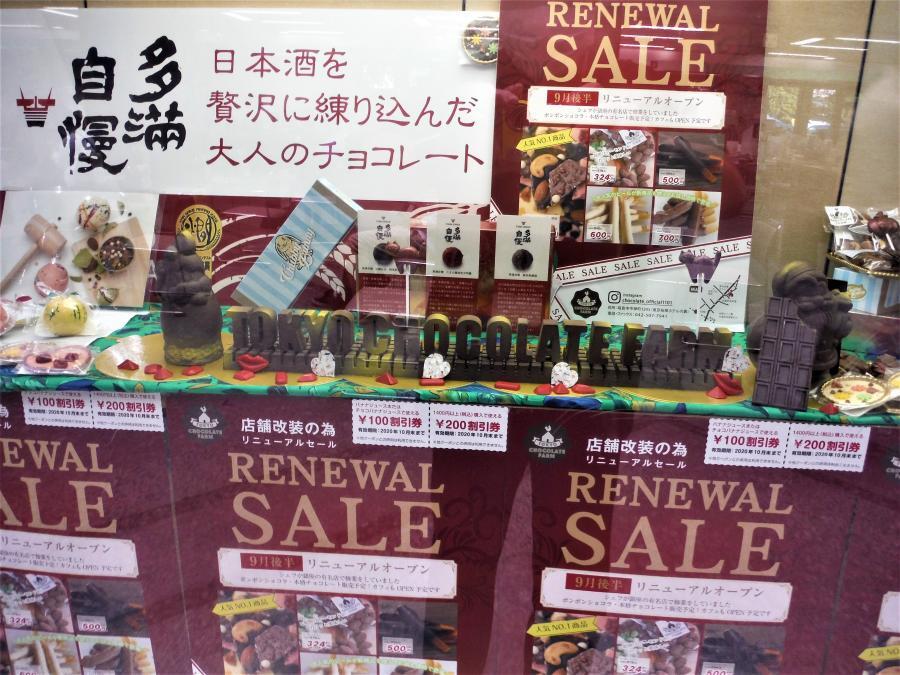 写真：ポントバレッタの展示2