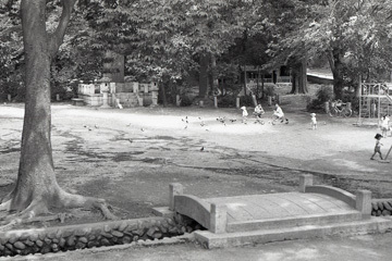 写真：拝島公園