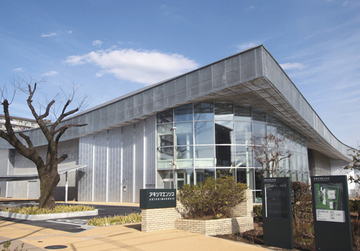 写真：アキシマエンシス