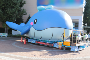 写真：あきしま大くじら号