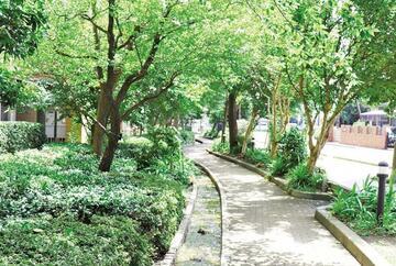 写真：せせらぎ