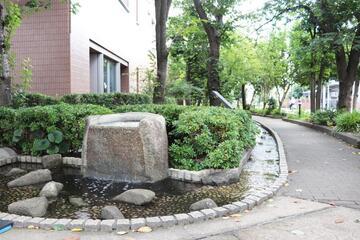 写真：せせらぎの様子