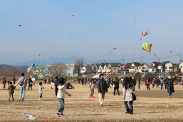 写真：新春たこあげ大会