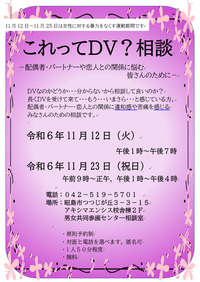 写真：これってDV？相談チラシ