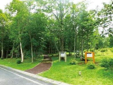 写真：友情の森