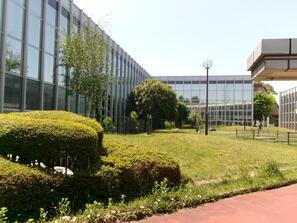 写真： 総合スポーツセンター