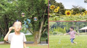 写真：2023年7月15日号表紙