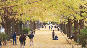 写真：2022年12月1日号表紙