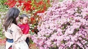 写真：2022年5月15日号表紙