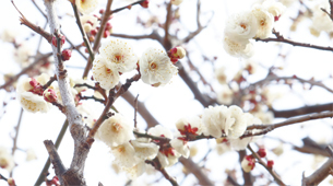 2022年2月15日号表紙の写真