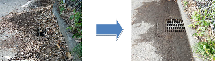 写真：落ち葉がたまっている様子→清掃後