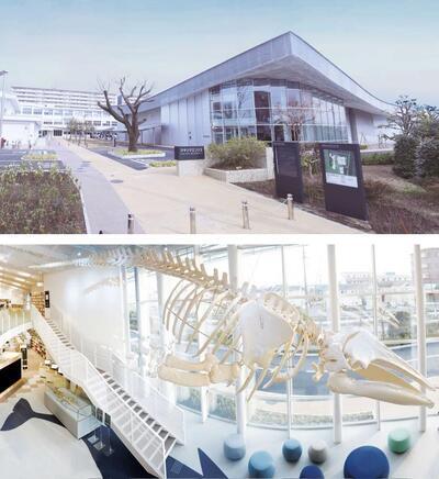 写真：外観＆くじらホール