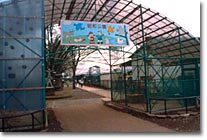 写真：昭和公園