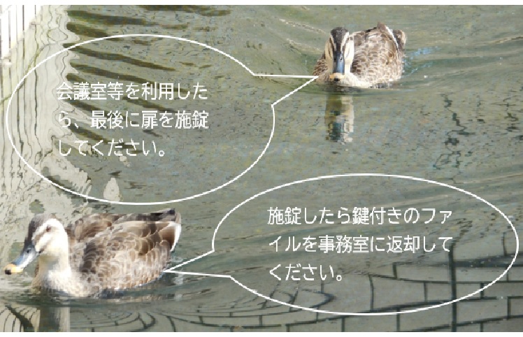 カルガモ施錠喚起