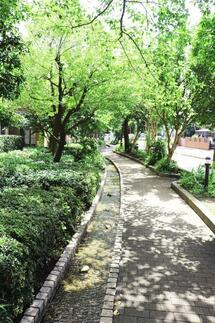 せせらぎの写真2