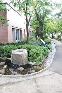 せせらぎの写真1