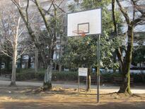 写真：つつじヶ丘公園バスケットゴール