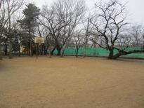 写真：昭和公園バスケットゴール（全景）