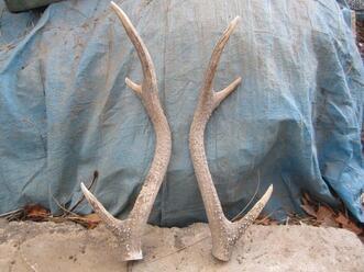 写真：切り取った角