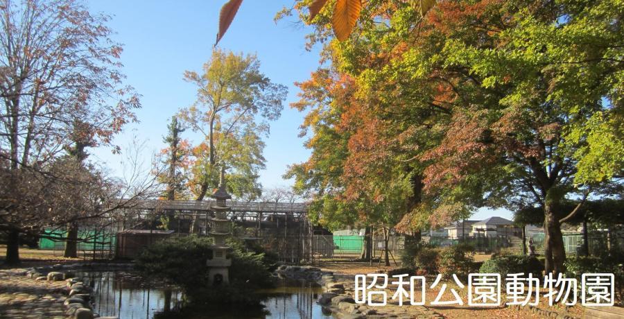 写真：昭和公園動物園