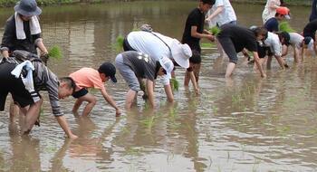 写真：田植え1