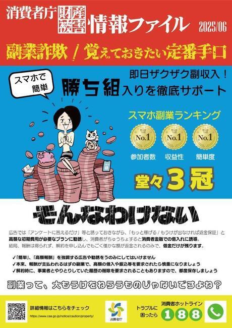 写真：2025年6月消費者庁財産被害情報ファイルチラシ