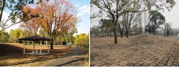 原っぱゾーンの写真