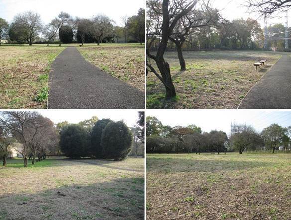 緑を育むゾーンの写真