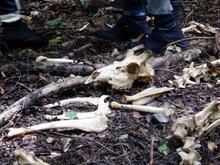 写真：令和7年源流体験3