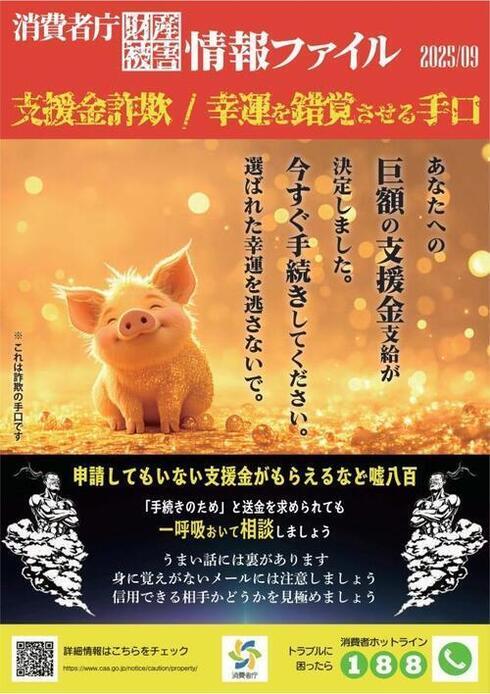 写真：2025年9月消費者庁財産被害情報ファイル（支援金）チラシ