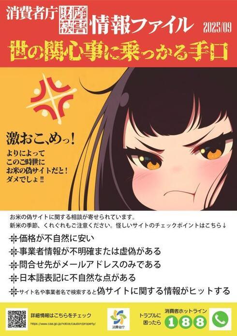 写真：2025年9月消費者庁財産被害情報ファイル（お米）チラシ