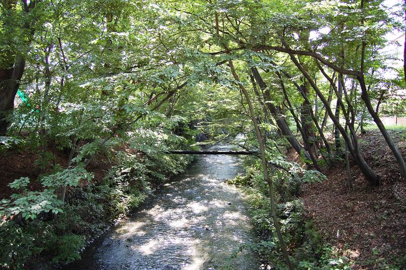 画像：玉川上水