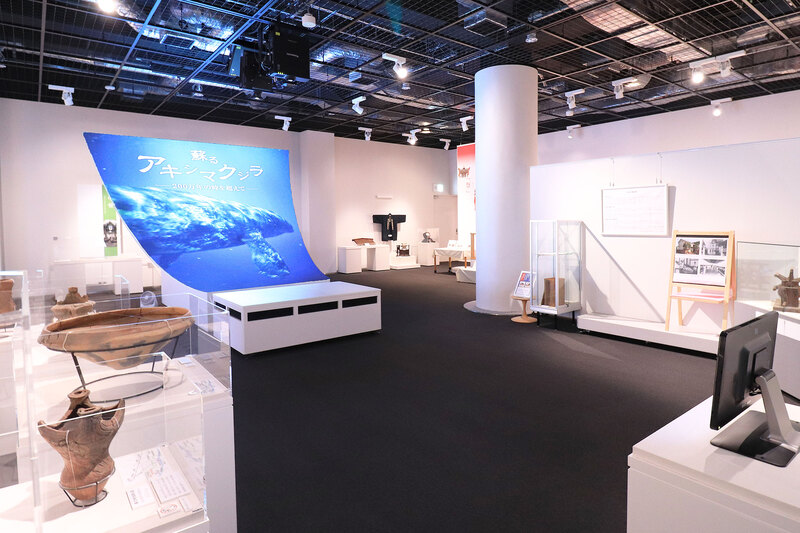 画像：郷土資料室