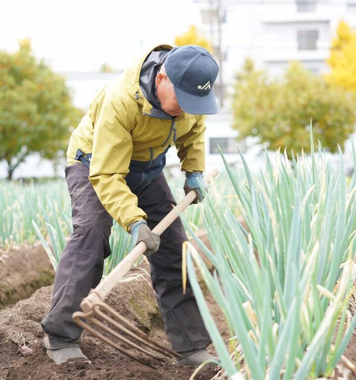 写真：畑を耕す様子