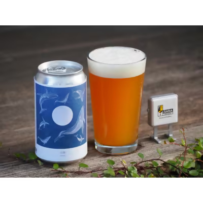 写真:クラフトビール