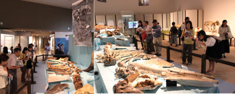 写真：2018アキシマクジラ見学ツアー3