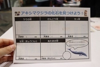 写真：シールラリー台紙